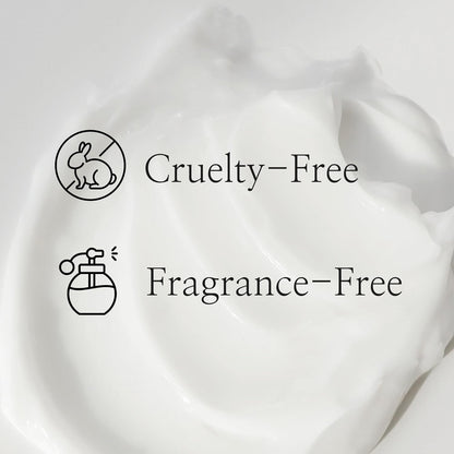 Beauty of Joseon Dynasty Cream Hydrating Face Moisturizer 50ml